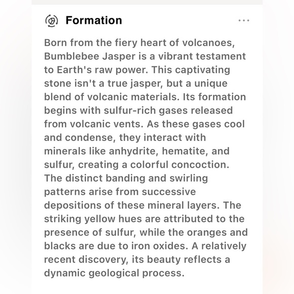 Artisan 🧑‍🎨 Bumblebee 🐝 Jasper Pendant Necklace - Picture 8 of 8